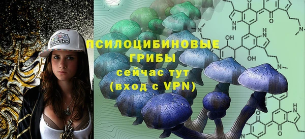ГАЛЛЮЦИНОГЕННЫЕ ГРИБЫ Аркадак
