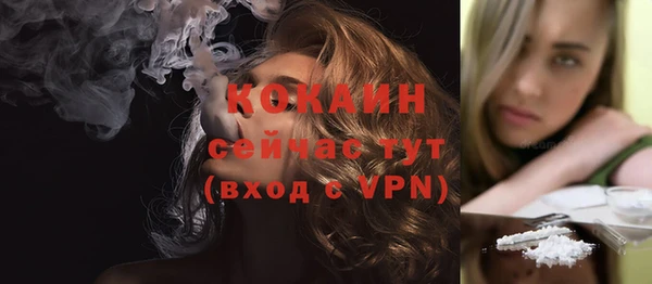 тгк Арсеньев