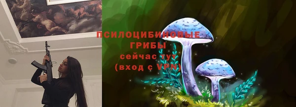 ГАЛЛЮЦИНОГЕННЫЕ ГРИБЫ Аркадак