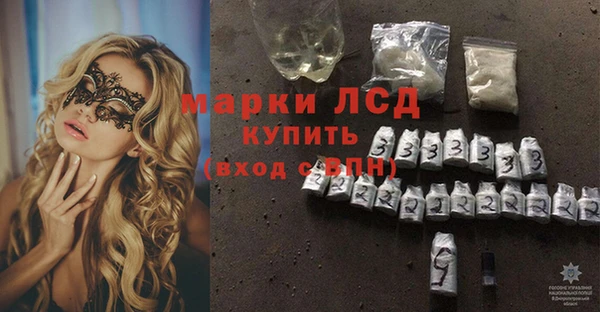 ГАЛЛЮЦИНОГЕННЫЕ ГРИБЫ Аркадак