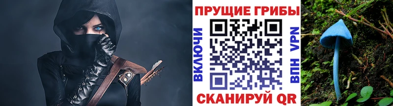 сайты даркнета как зайти  Верхняя Пышма  Псилоцибиновые грибы Magic Shrooms 