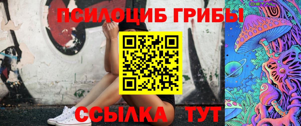 Псилоцибиновые грибы мицелий Верхняя Пышма