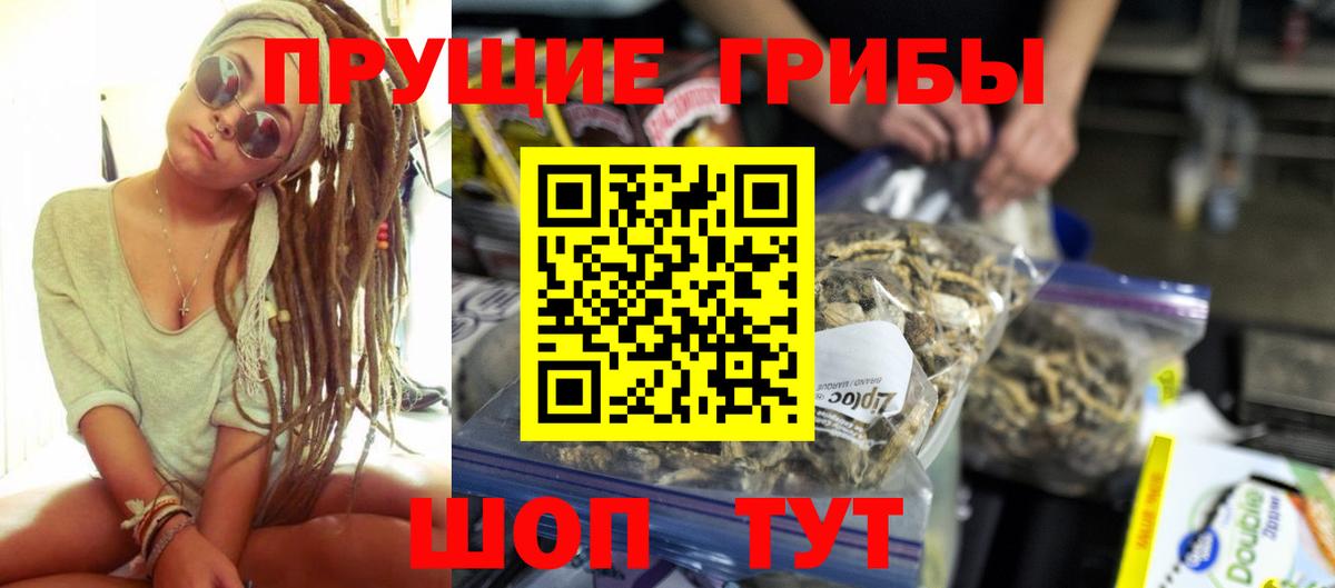 где найти наркотики  Псилоцибиновые грибы мухоморы  Вход с VPN  Верхняя Пышма 
