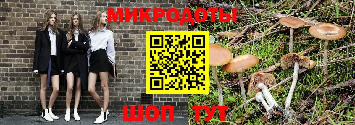 Псилоцибиновые грибы ЛСД  Верхняя Пышма  Псилоцибиновые грибы Psilocybe 